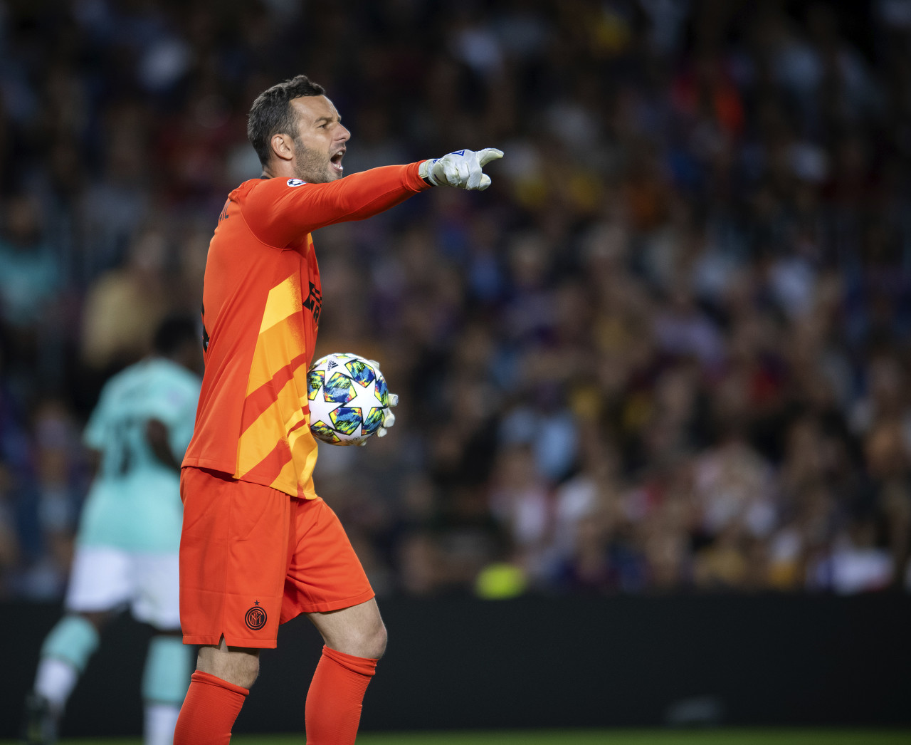 成为全球游 成为全球游